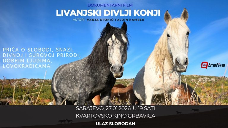 Premijera dokumentarnog filma “Livanjski divlji konji – između slobode i nebrige”